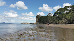 Foto af Pohutukawa Bay Beach med høj niveau af renlighed