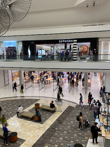 Apple Stoneridge Mall image