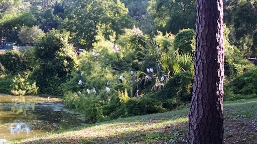Stable «Lawton Stables», reviews and photos, 190 Greenwood Dr, Hilton Head Island, SC 29928, USA