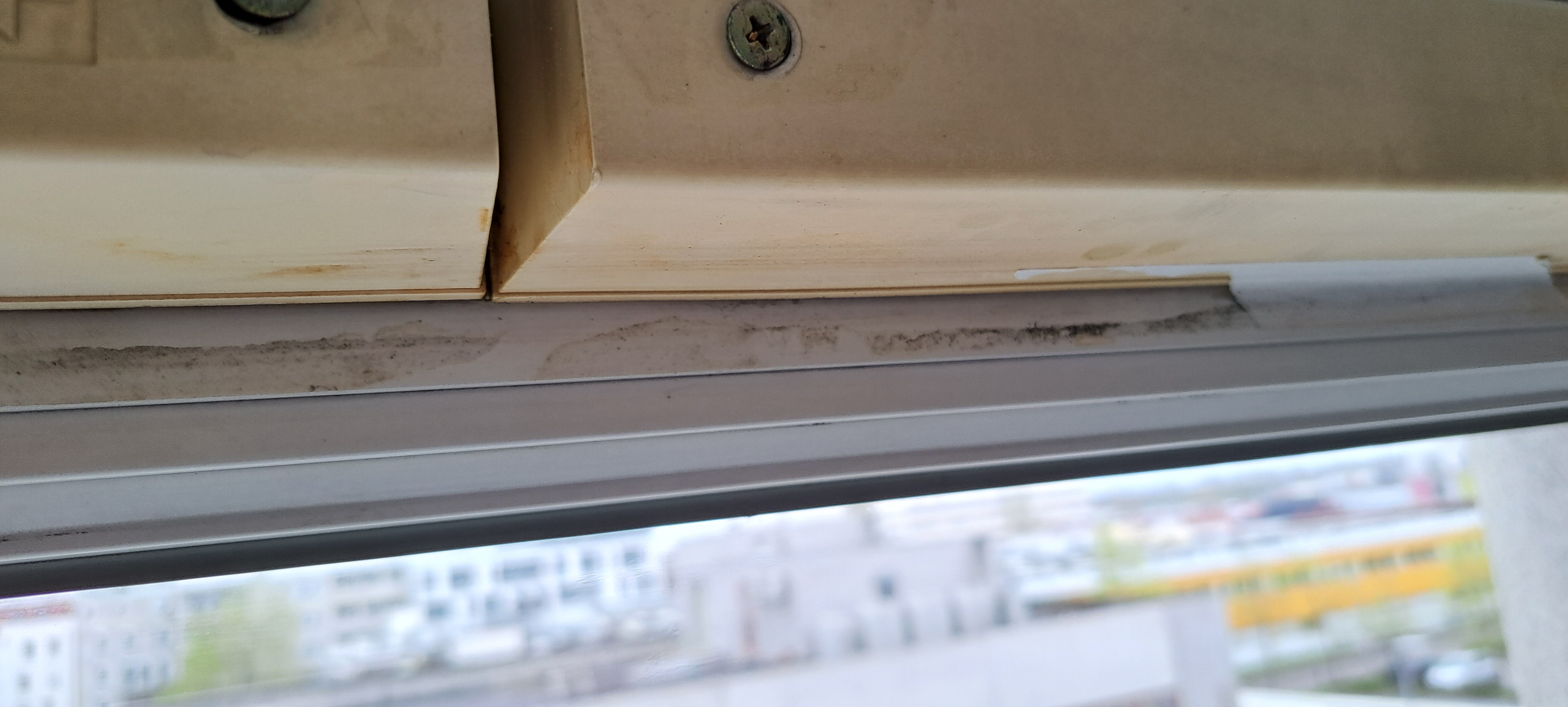 Photo n° 3 de l'avis de Vasilisa.o fait le 01/04/2023 à 08:56