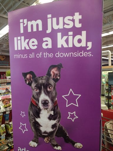 Pet Supply Store «Petco Animal Supplies», reviews and photos, 35 Fort Eddy Rd, Concord, NH 03301, USA