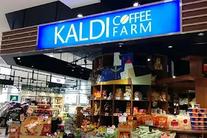KALDI COFFEE FARM mewe Hashimoto image