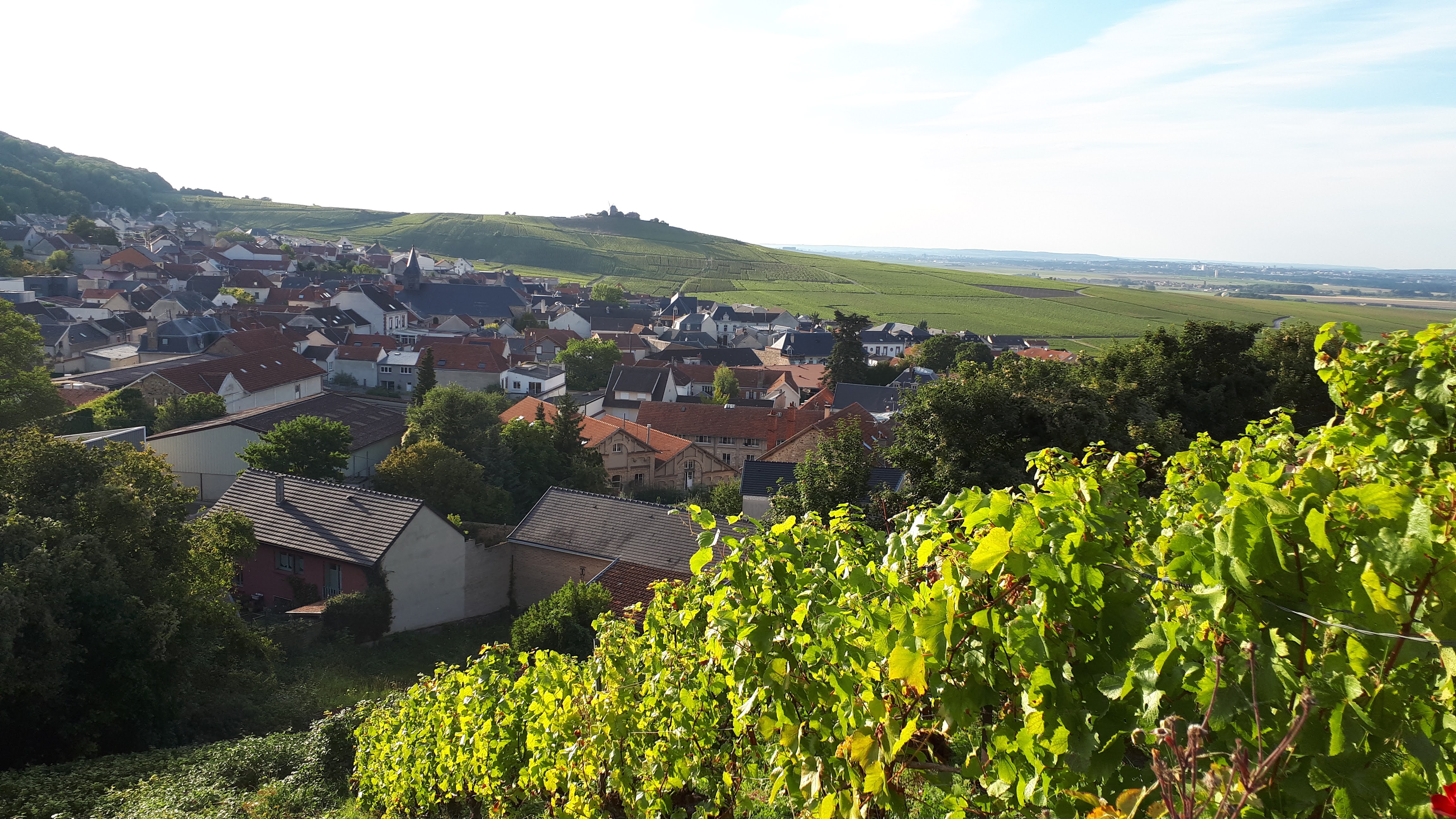 Photo n° 7 de l'avis de Françoise.o fait le 21/09/2021 à 16:22