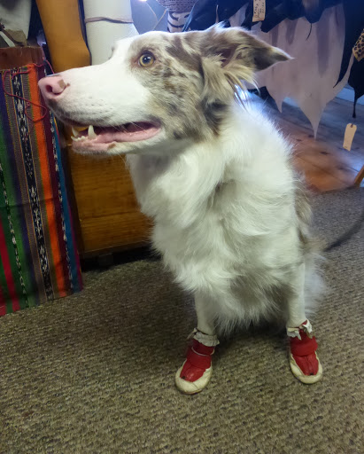 Craft Store «Leatherwise», reviews and photos, 303 Potrero St # 1, Santa Cruz, CA 95060, USA