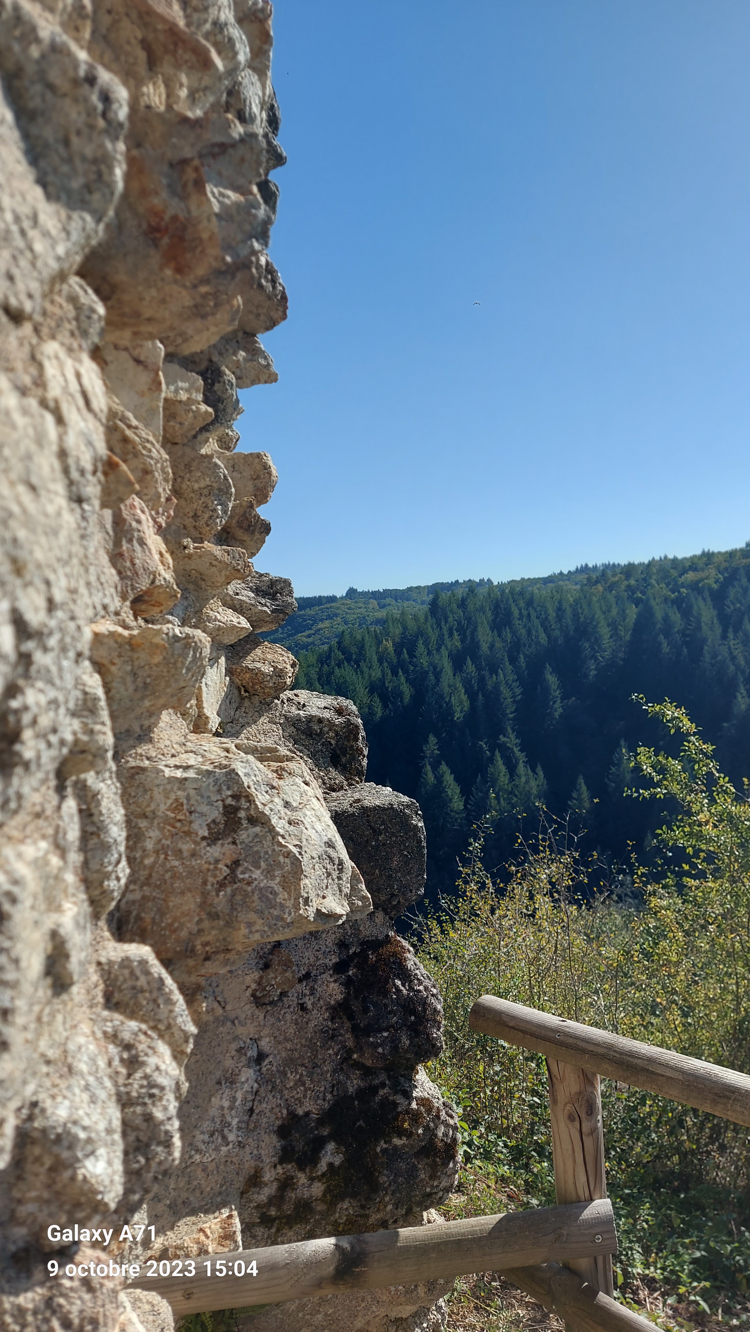 Photo n° 9 de l'avis de Dolorès.a fait le 12/10/2023 à 16:12