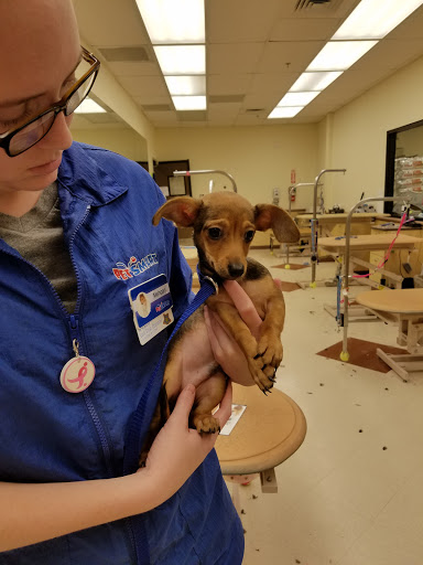 Pet Supply Store «PetSmart», reviews and photos, 1921 Gulf Fwy S, Dickinson, TX 77539, USA