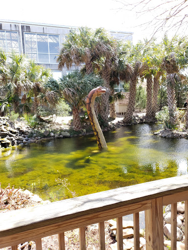Aquarium «North Carolina Aquarium At Fort Fisher», reviews and photos, 900 Loggerhead Rd, Kure Beach, NC 28449, USA