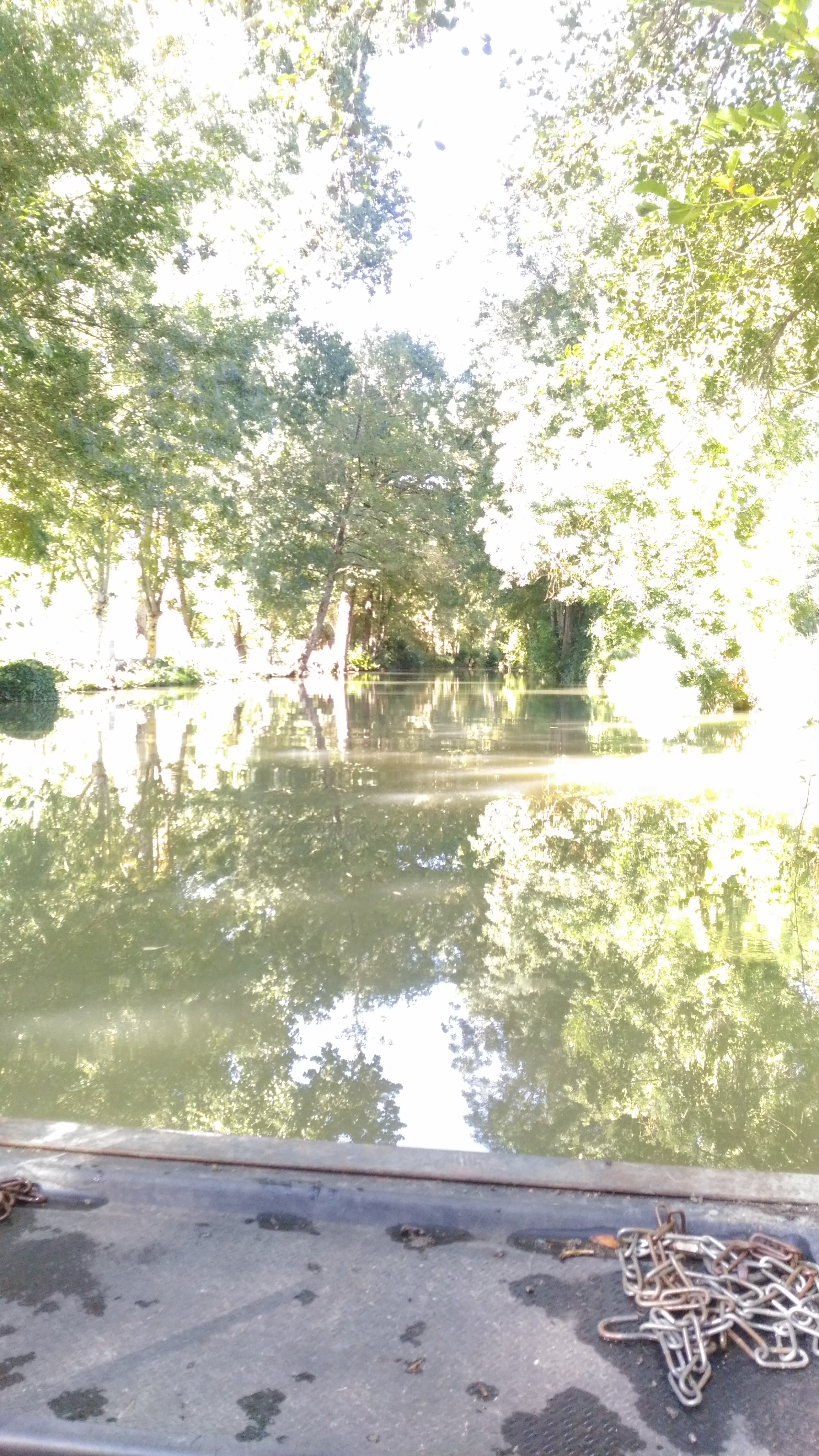 Photo n° 4 de l'avis de GUILHAUMOND.a fait le 29/09/2018 à 17:26