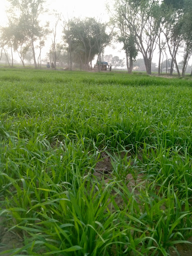 Florist «June Florist», reviews and photos, 8607 18th Ave, Brooklyn, NY 11214, USA