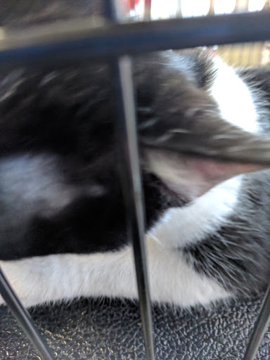 Pet Supply Store «Petsense Fort Worth», reviews and photos, 1408 Eastchase Pkwy #100, Fort Worth, TX 76120, USA