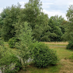 Photo n°6 de l'avis de Gali.i fait le 21/07/2019 à 07:36 sur le  Unsereins Hotel à Bad Steben