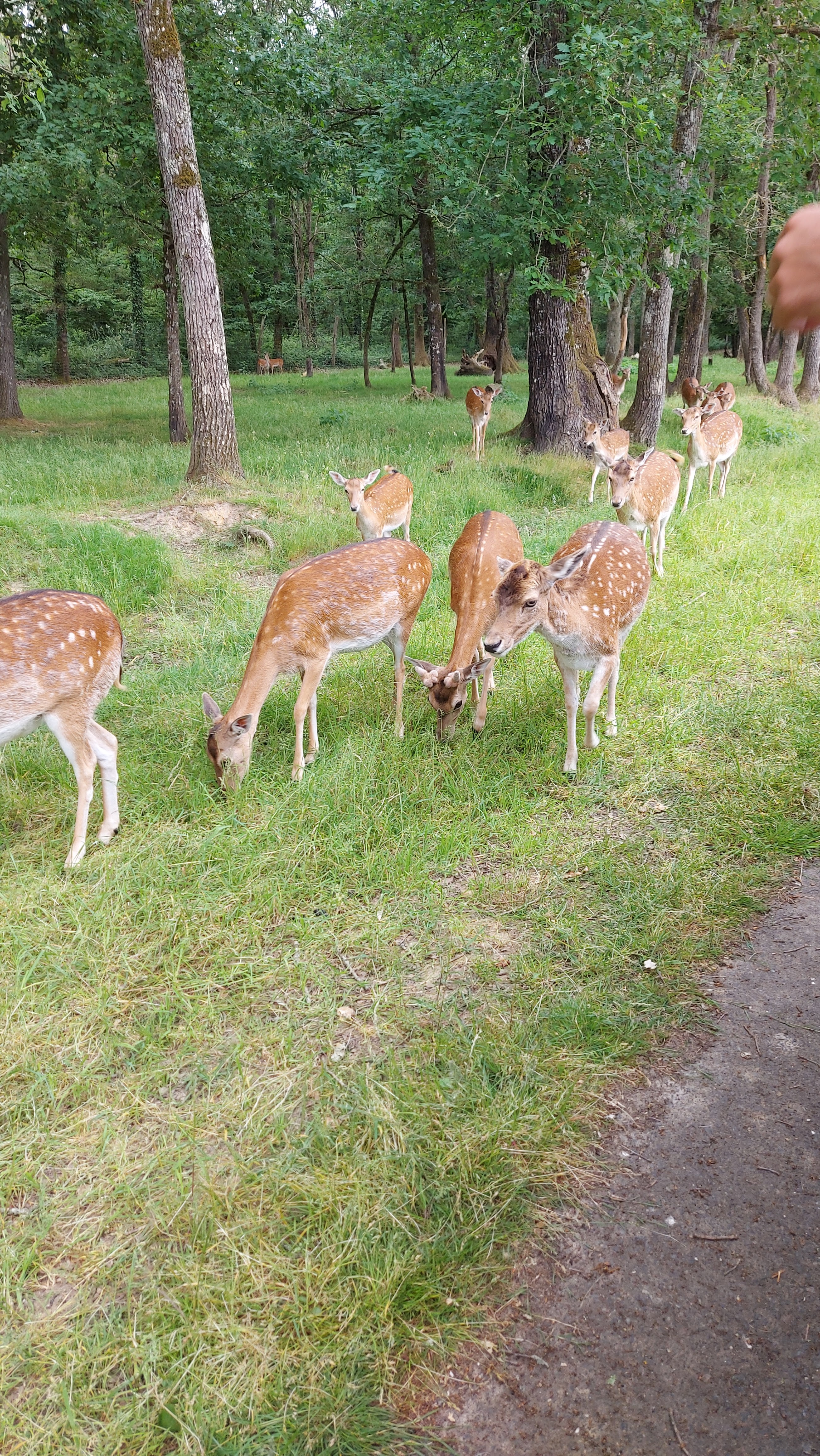 Photo n° 5 de l'avis de Anais. fait le 29/05/2022 à 19:46