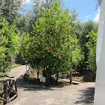 Photo n°2 de l'avis de Pamela.e fait le 11/06/2023 à 13:40 sur le  Villa Oriana Relais à Sorrento