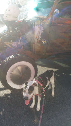 Hardware Store «Bay Ace Hardware», reviews and photos, 23 W Main St, Rising Sun, MD 21911, USA