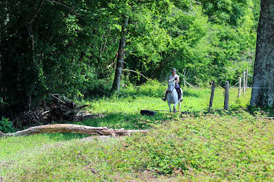 Parc d'aventures à cheval à Vielleségure