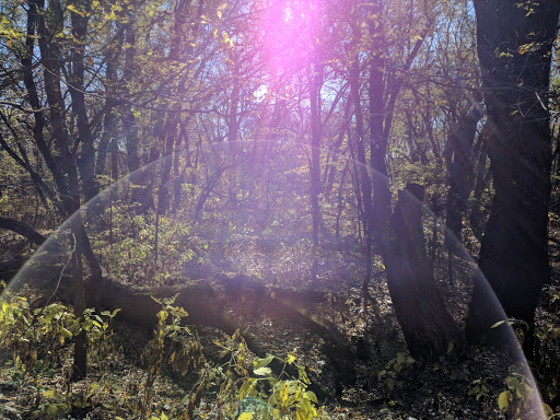 Nature Preserve «Crosby Farm Regional Park», reviews and photos, 2595 Crosby Farm Rd, St Paul, MN 55116, USA