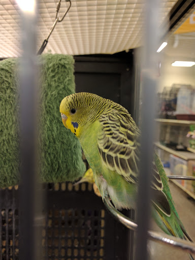 Pet Supply Store «PetSmart», reviews and photos, 26532 Towne Centre Dr, Foothill Ranch, CA 92610, USA