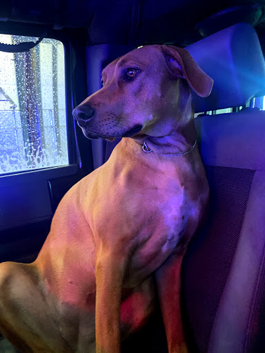 Car Wash «Metro Express Car Wash», reviews and photos, 4095 S Santa Fe Dr, Sheridan, CO 80110, USA