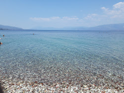 Foto von Paralia Alikes mit sehr sauber Sauberkeitsgrad