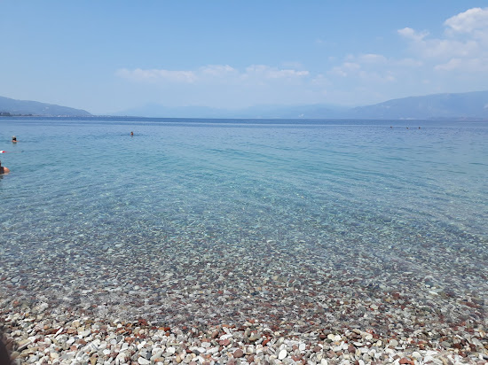 Paralia Alikes