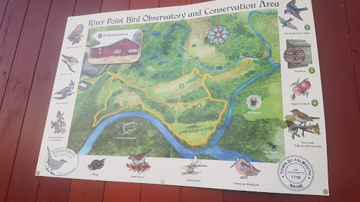 Grocery Store «Hannaford Supermarket», reviews and photos, 65 Gray Rd, Falmouth, ME 04105, USA