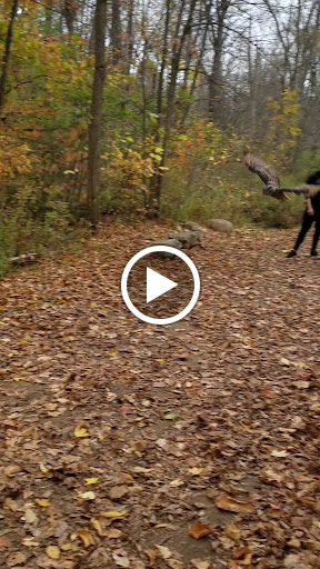 Botanical Garden «Beech Creek Botanical Garden & Nature Preserve», reviews and photos, 11929 Beech St NE, Alliance, OH 44601, USA