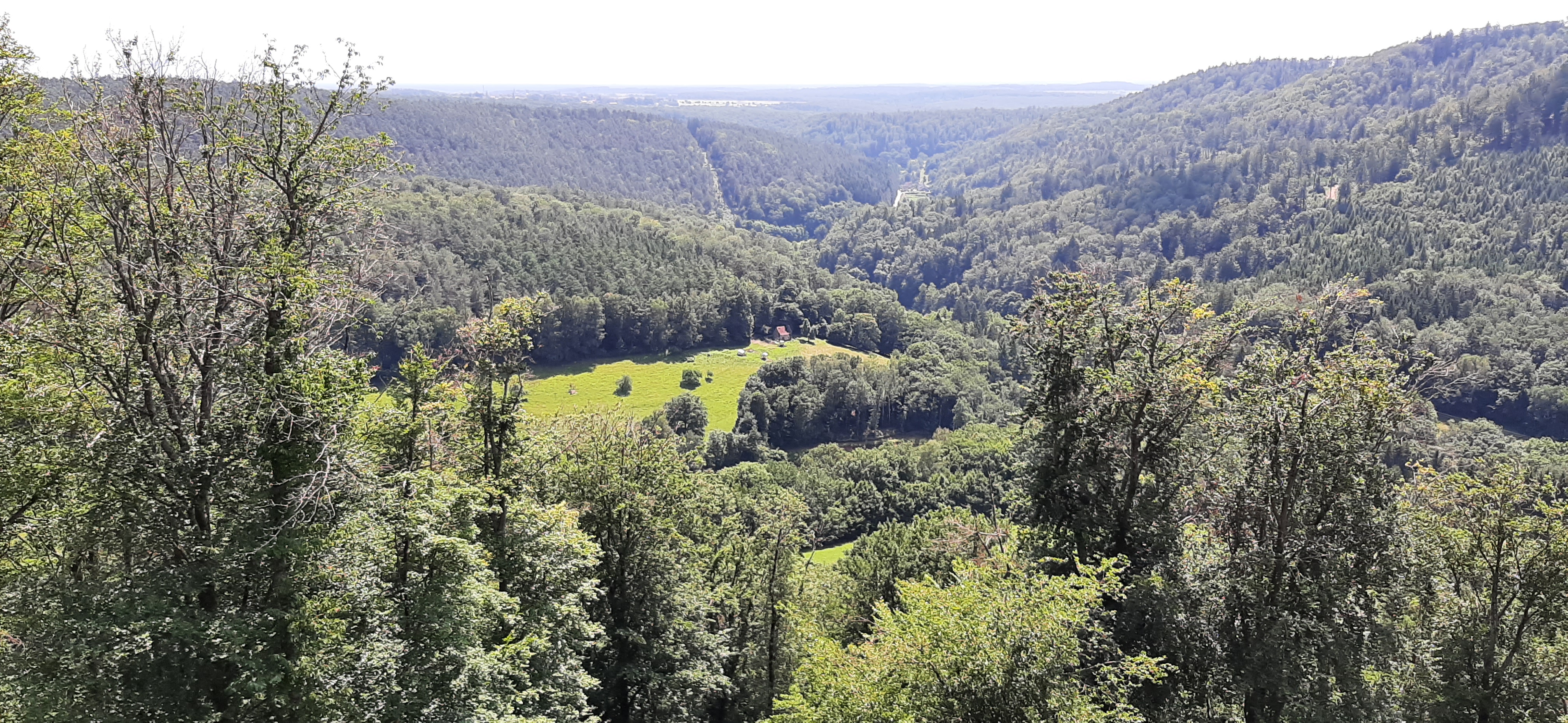 Photo n° 1 de l'avis de Carlos.a fait le 18/07/2021 à 16:13