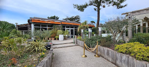 Photo n°123 de NONNA à Les Sables-d'Olonne ()