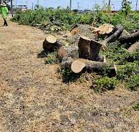 Meek Brothers Landscaping - Photo 9 - Car repair in Balch Springs, TX, Mesquite