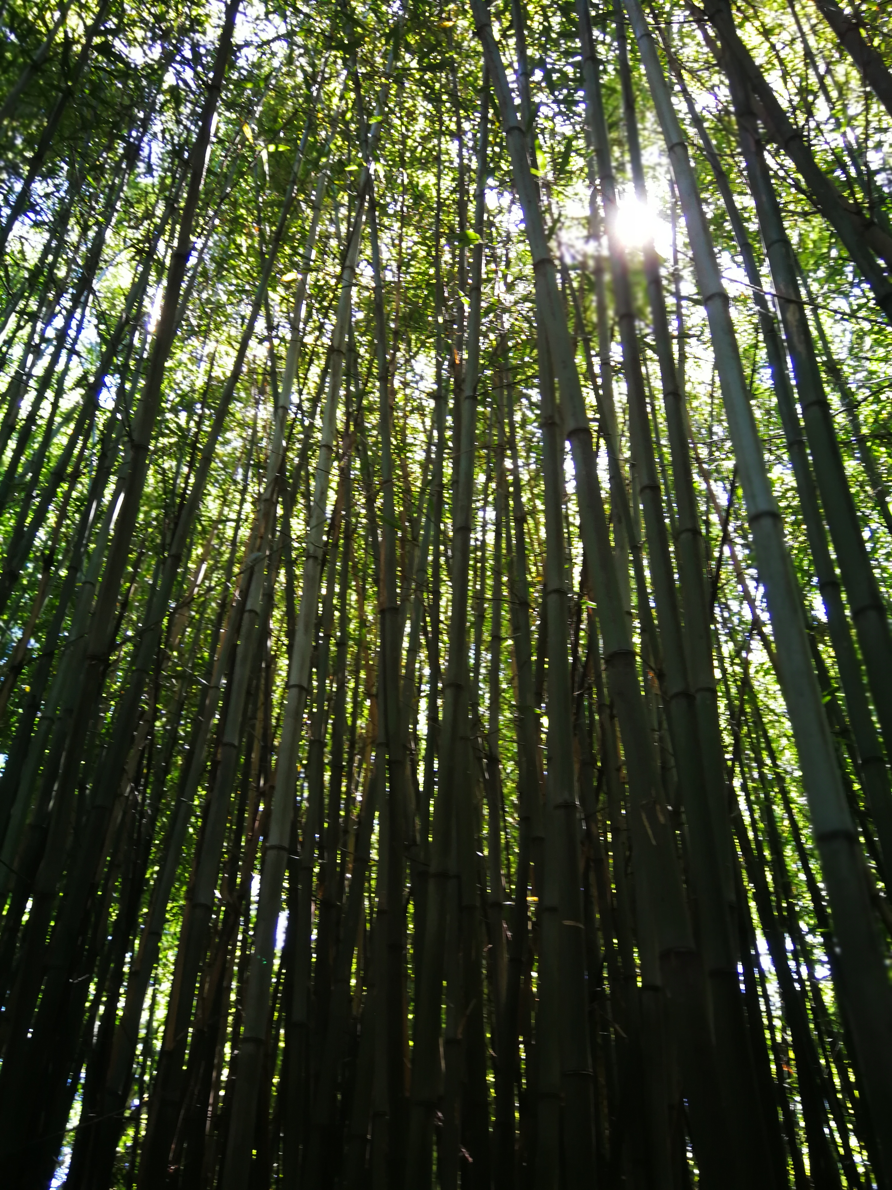 Photo n° 3 de l'avis de Luc.e fait le 19/05/2018 à 20:20