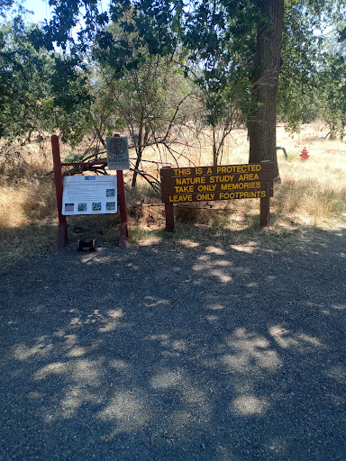 Nature Preserve «Effie Yeaw Nature Center», reviews and photos, 2850 San Lorenzo Way, Carmichael, CA 95608, USA