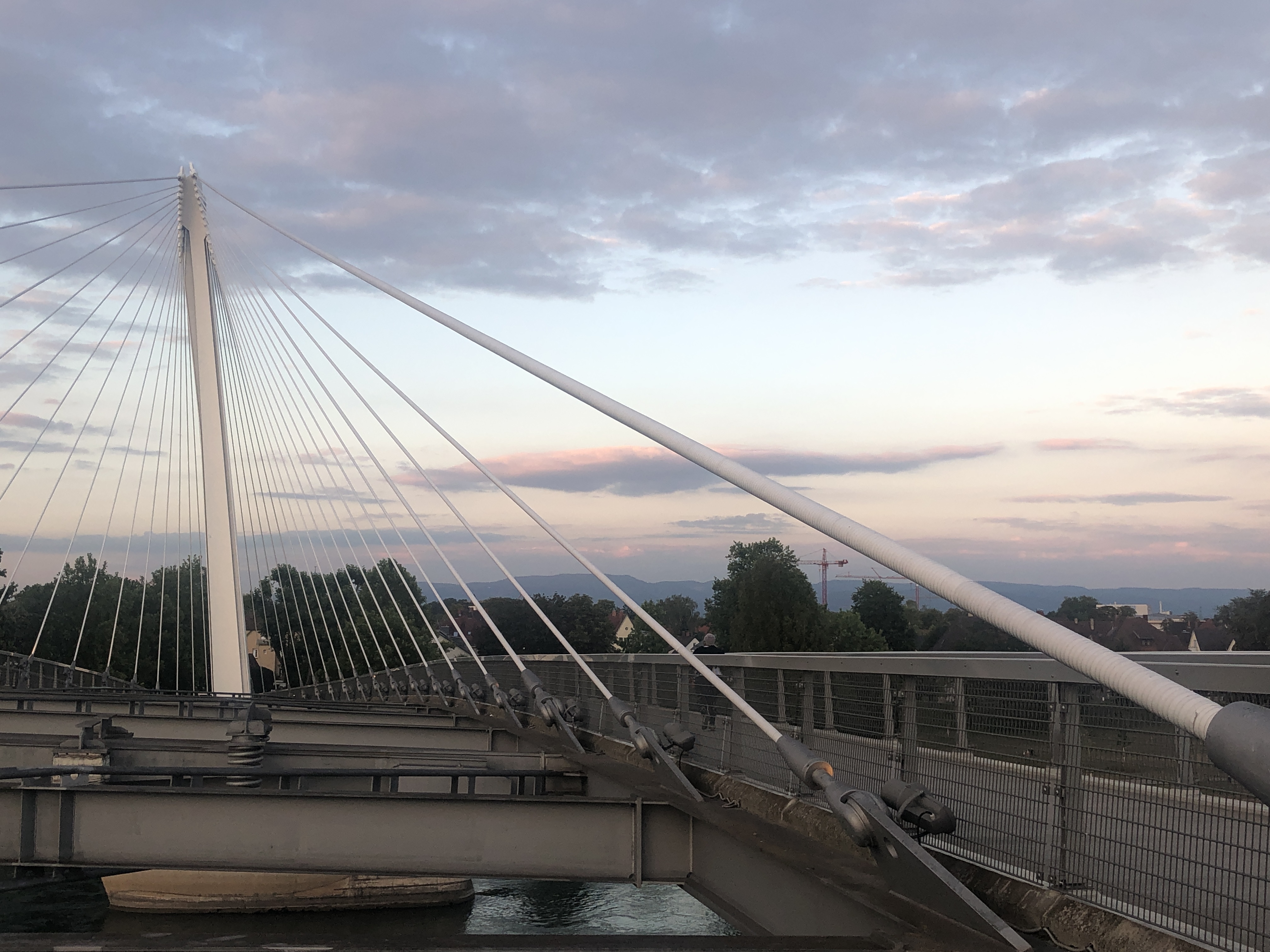 Photo n° 10 de l'avis de Carol.a fait le 24/07/2020 à 23:10