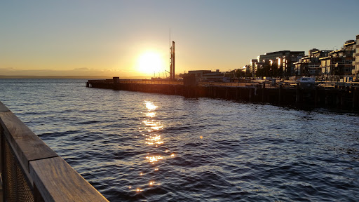 Gift Shop «Seattle Aquarium Gift Store», reviews and photos, 1483 Alaskan Way, Seattle, WA 98101, USA