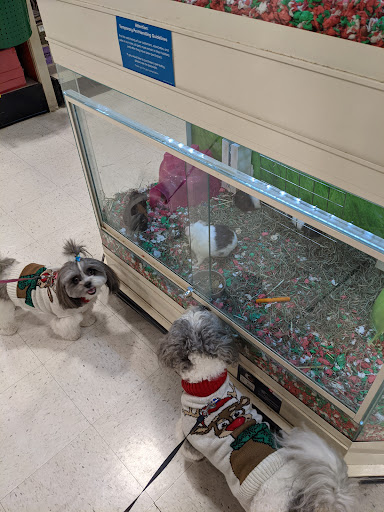 Pet Supply Store «PetSmart», reviews and photos, 2477 Naglee Rd, Tracy, CA 95304, USA