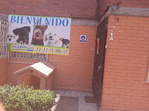 Veterinaria Lambie Clinic