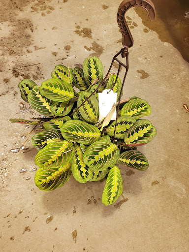 Home Improvement Store «The Home Depot», reviews and photos, 14001 E Mississippi Ave, Aurora, CO 80012, USA