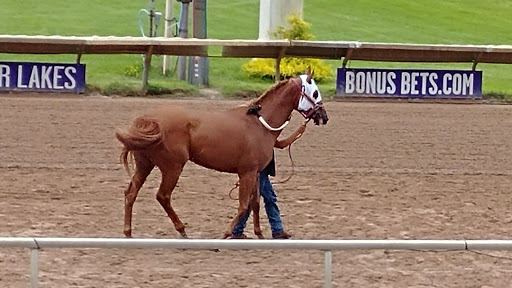 Casino «Finger Lakes Gaming & Racetrack», reviews and photos, 5857 NY-96, Farmington, NY 14425, USA