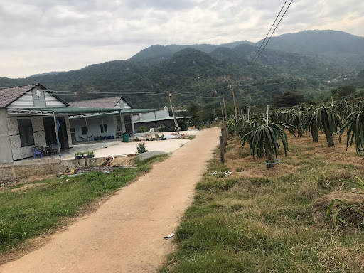 Nông Trại Suối Rồng