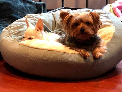 4 Pine Terrace, Demarest, NJ 07627, USA