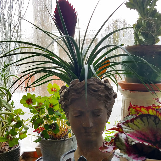 Florist «The Greenery», reviews and photos, 63 Water St, Warren, RI 02885, USA