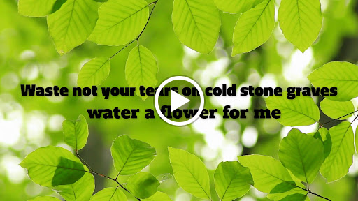 Cremation Service «Renaissance Funeral Home and Cremation», reviews and photos, 7615 Six Forks Rd, Raleigh, NC 27615, USA