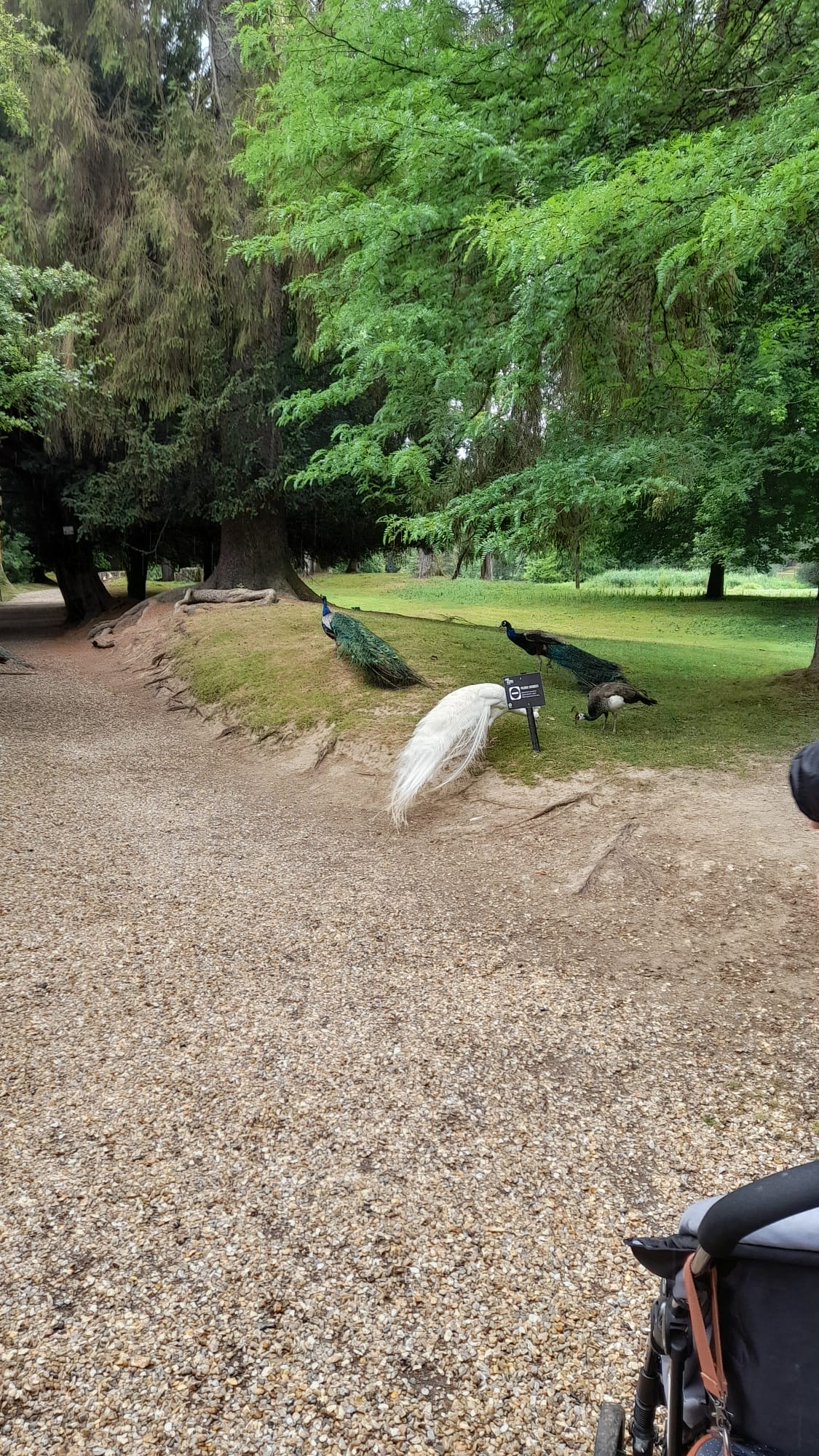 Photo n° 5 de l'avis de Ines.a fait le 20/07/2022 à 18:03