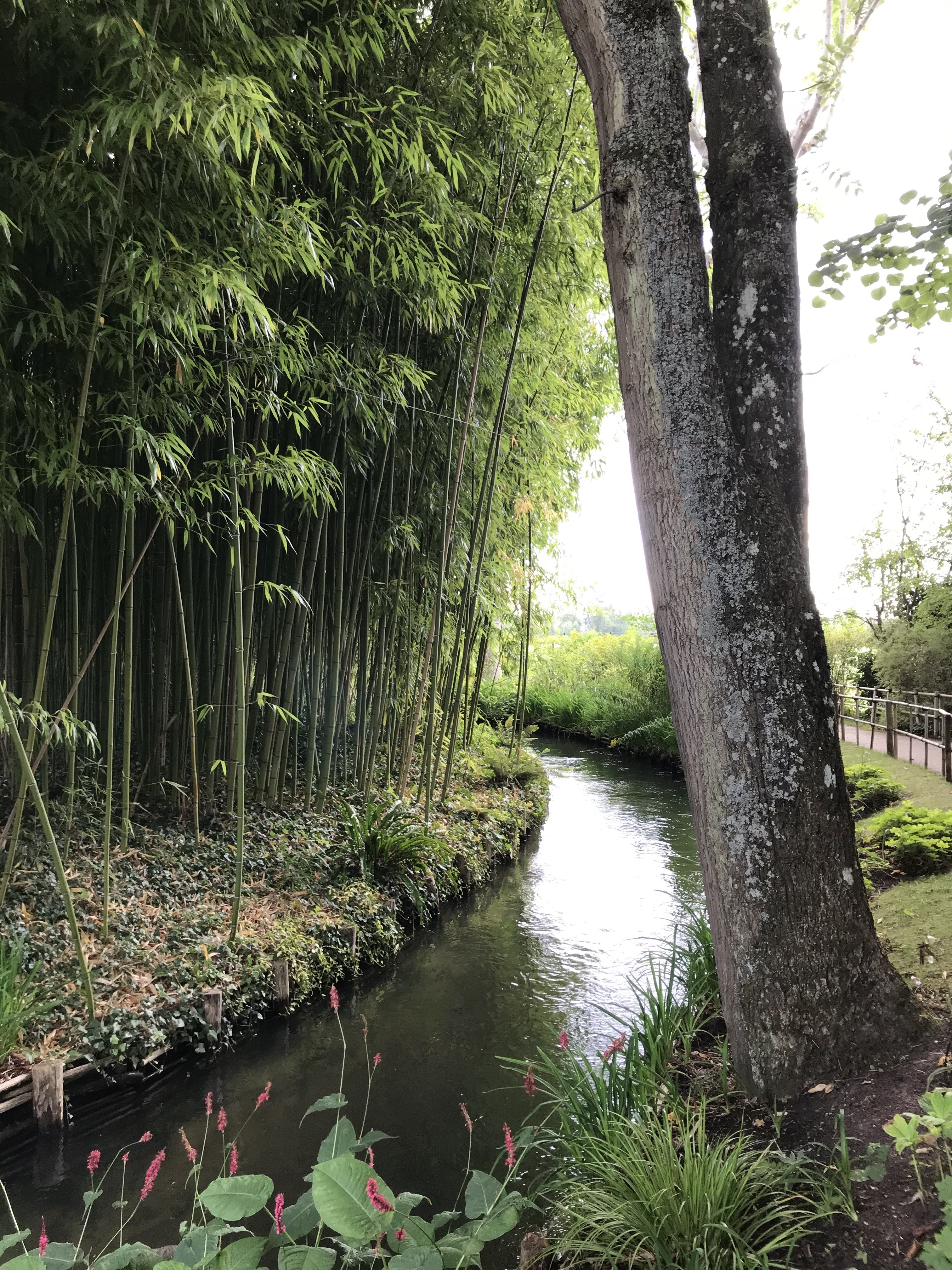 Photo n° 22 de l'avis de Roxane.A fait le 19/08/2021 à 09:20