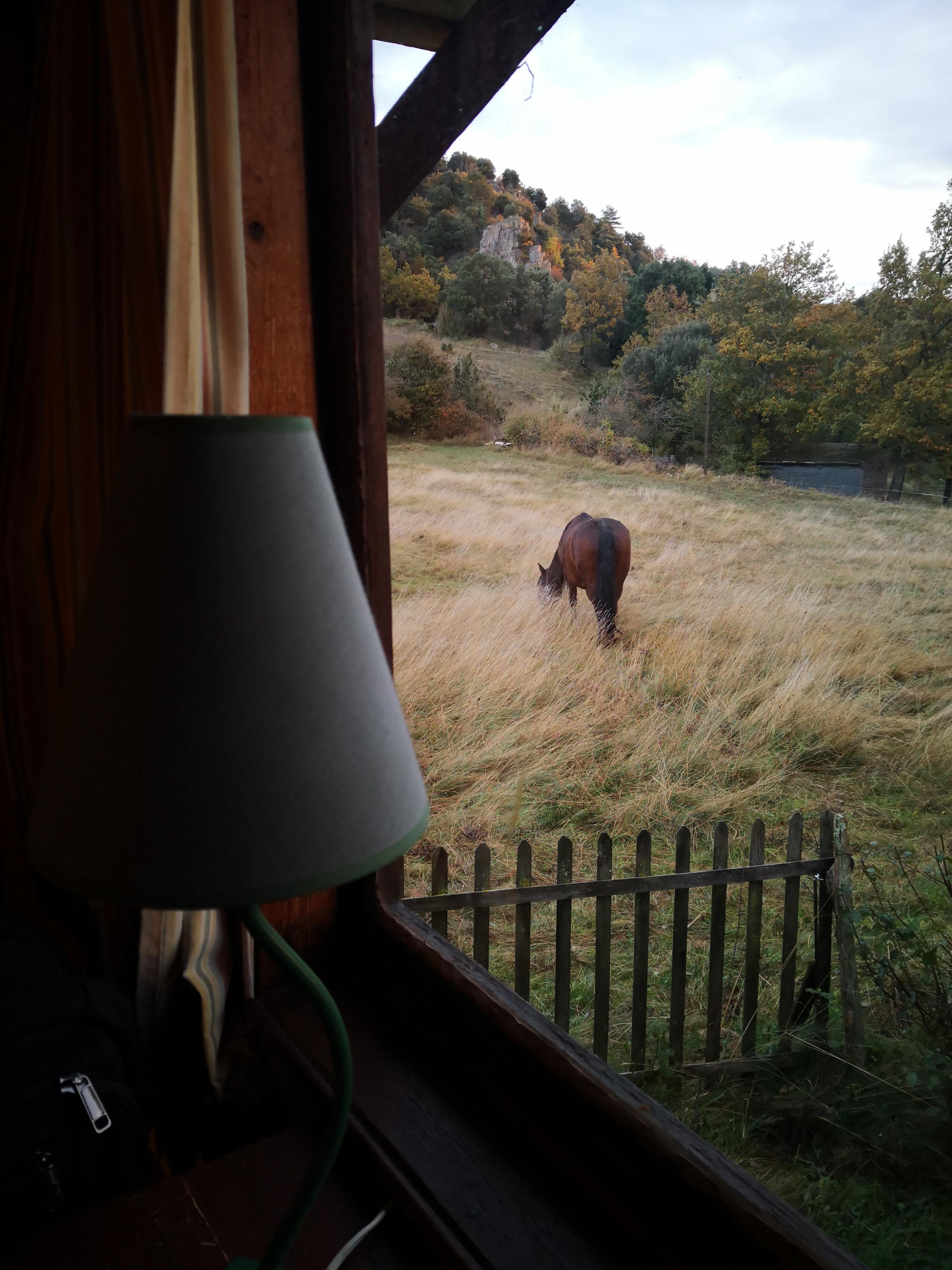 Photo n° 2 de l'avis de Montse.s fait le 21/11/2023 à 20:20