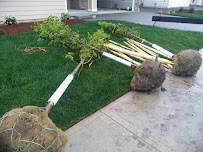 S R Landscaping - Photo 3 - Car repair in , Bremerton
