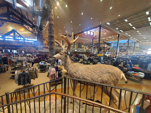 Bass Pro Shops image