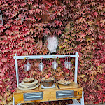 Photo n°3 de l'avis de Paul. fait le 18/11/2023 à 09:13 sur le  Ca' Toresele Relais Osteria Garden à Verona