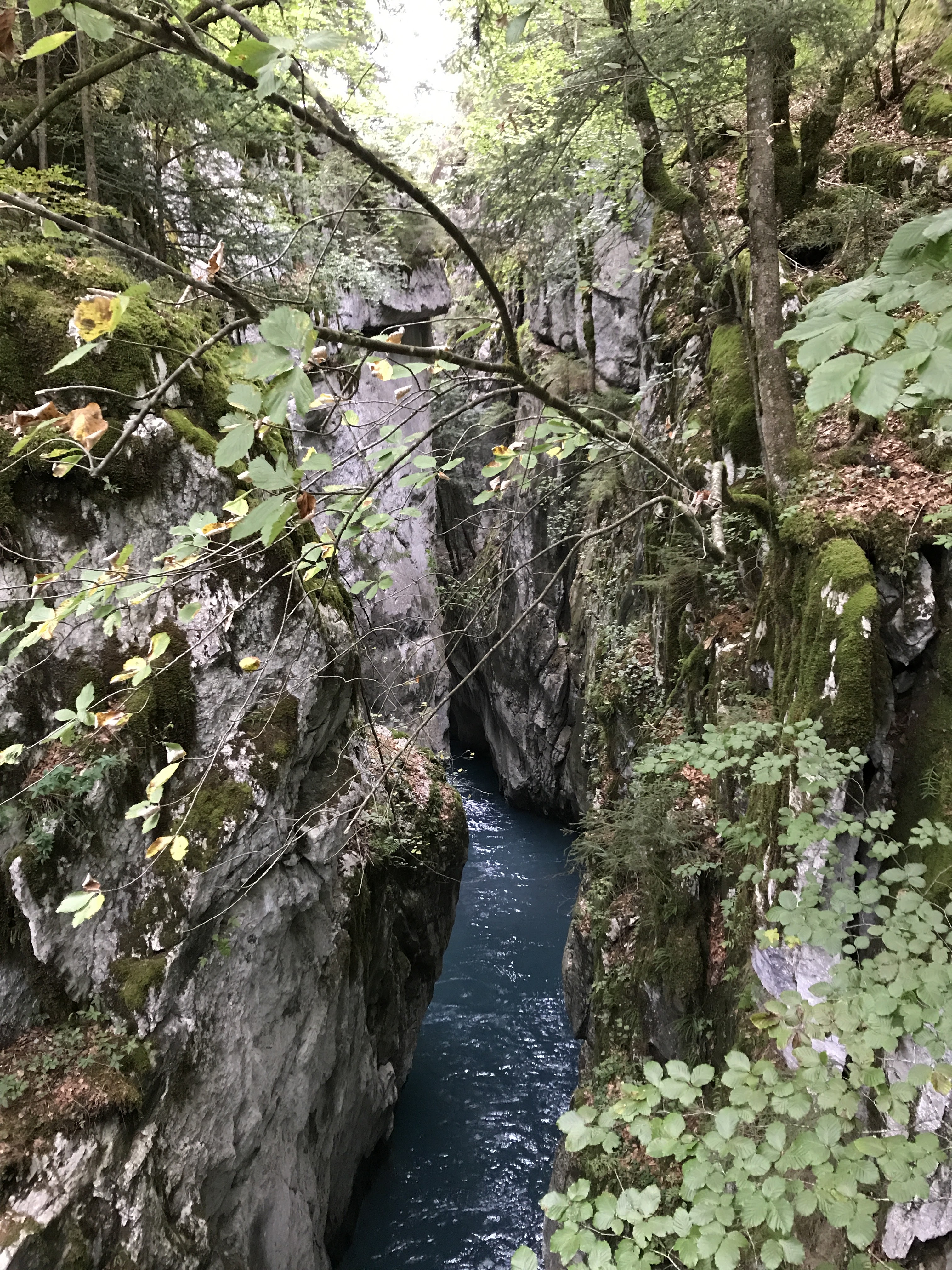 Photo n° 5 de l'avis de Sylvain.A fait le 11/09/2020 à 19:52