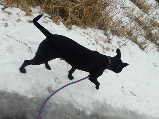 Park «Tanners Lake Park», reviews and photos, 400 Glenbrook Ave N, Oakdale, MN 55128, USA