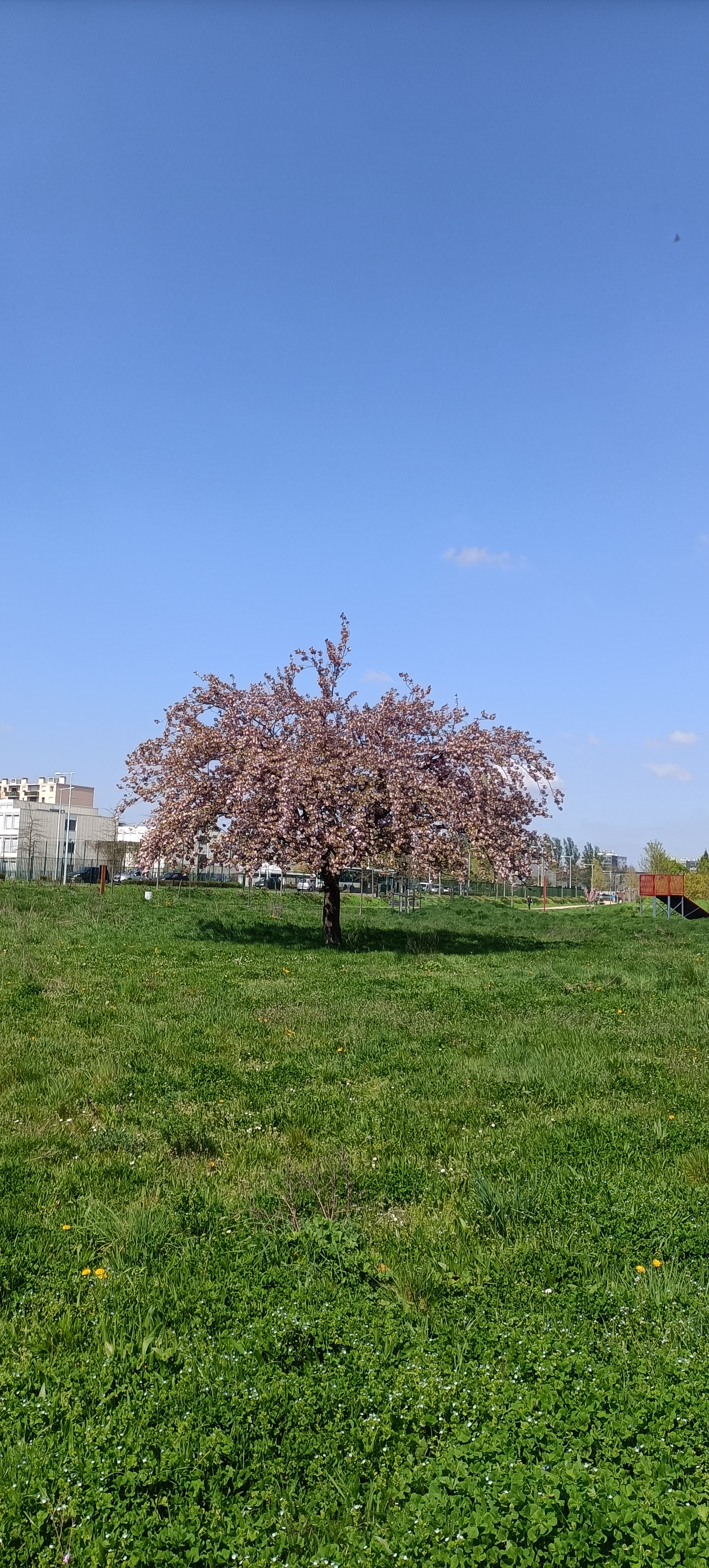 Photo n° 41 de l'avis de Seb.s fait le 19/04/2023 à 15:12